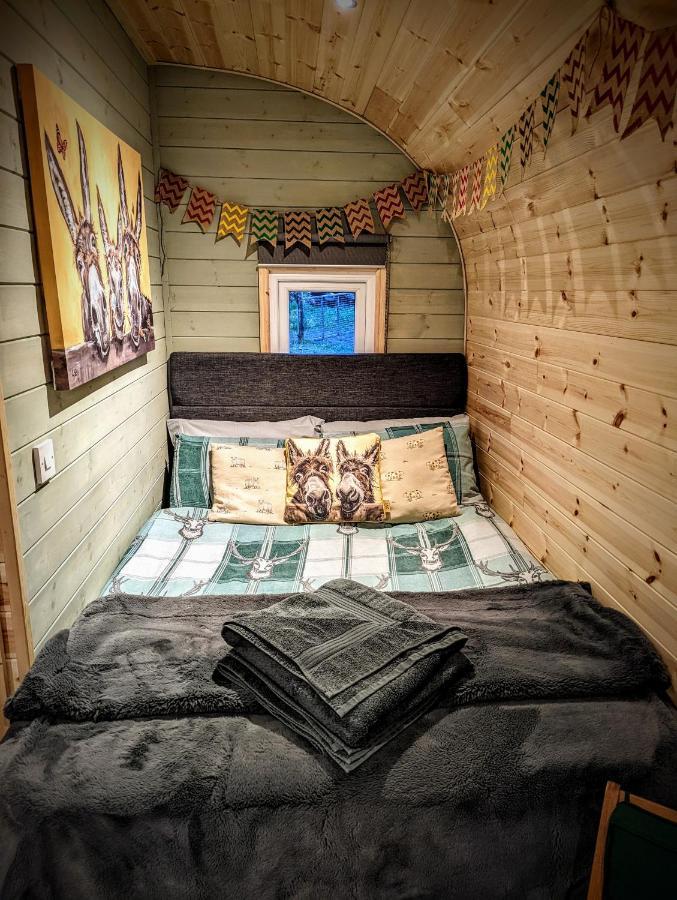 Emlyn'S Coppice - Luxury Woodland Glamping Villa Holywell  Ngoại thất bức ảnh